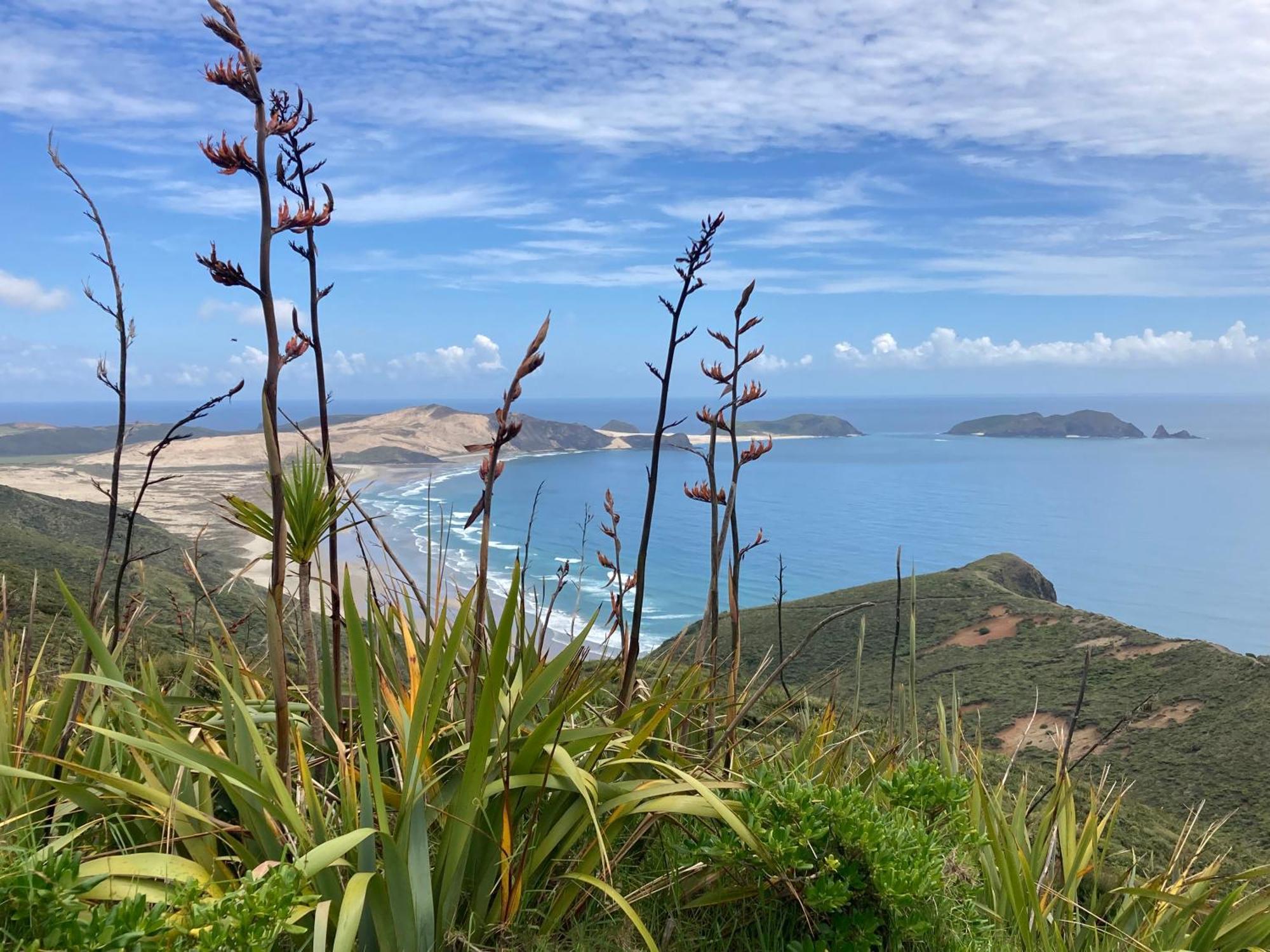 Villa Far North Panorama Kaingaroa Esterno foto